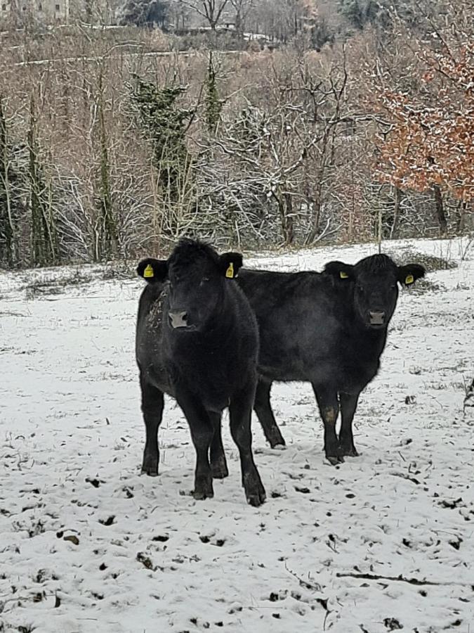 Tenuta La Scure La Cappella Villa Cortona Luaran gambar