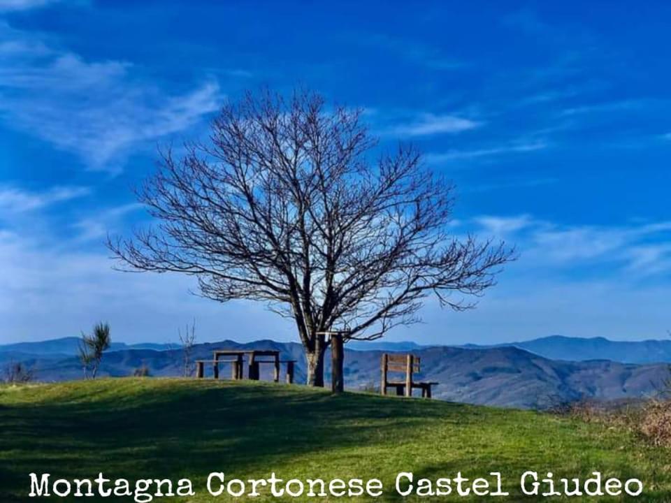 Tenuta La Scure La Cappella Villa Cortona Luaran gambar